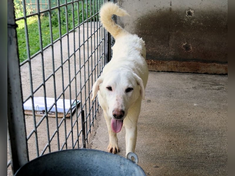 Arriel - aller guten Dinge sind drei