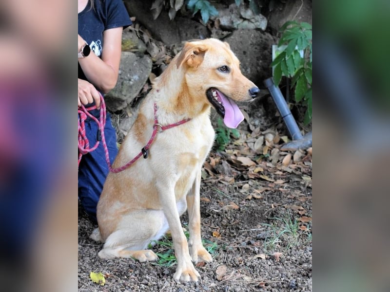 Lilyrose - als kleine Muschel ins Glück!