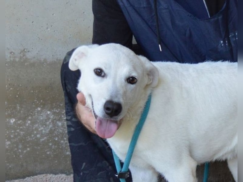 Dafnielle - Zukunft gesucht