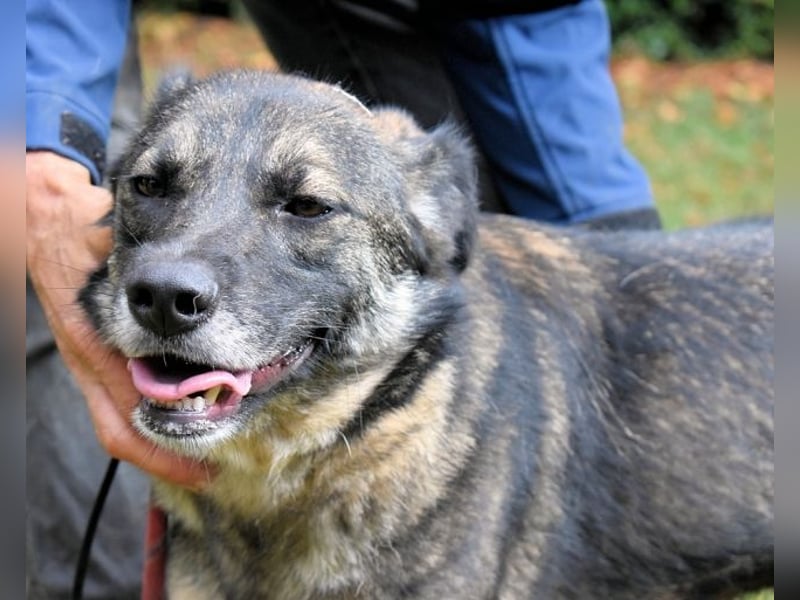 Silvana - im Eilschritt nach Hause?