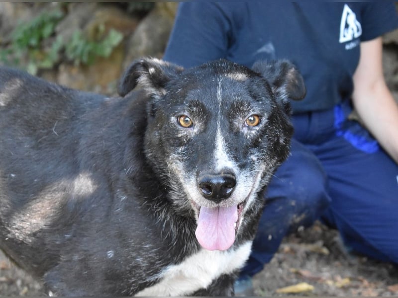 Elowen - eine Tänzerin im Mondlicht, bis die Sonne die Träume verjagt