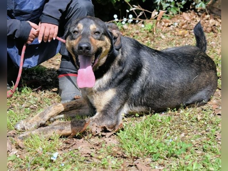 Montego - Sonne im Bauch und Brausekribbeln im Hirn