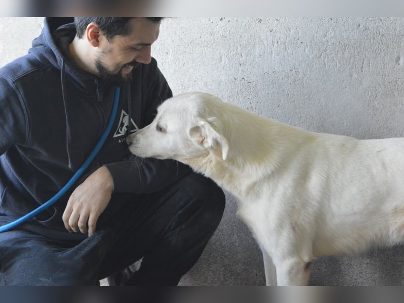 Cyra - Cyra, bald bist auch Du dran!