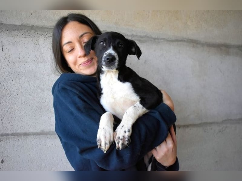 Mavette - Es soll DEIN Leben werden