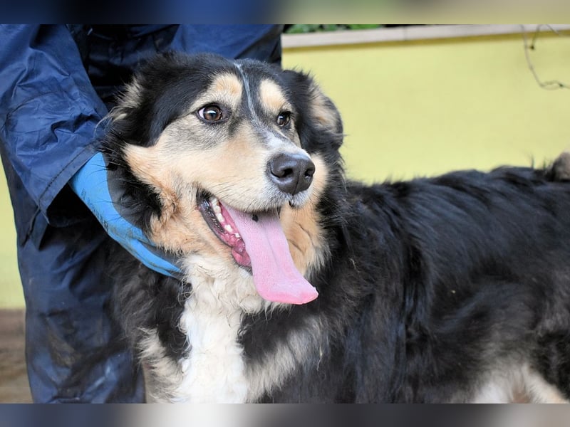 Oliverio - ohne Anklage hinter Gittern