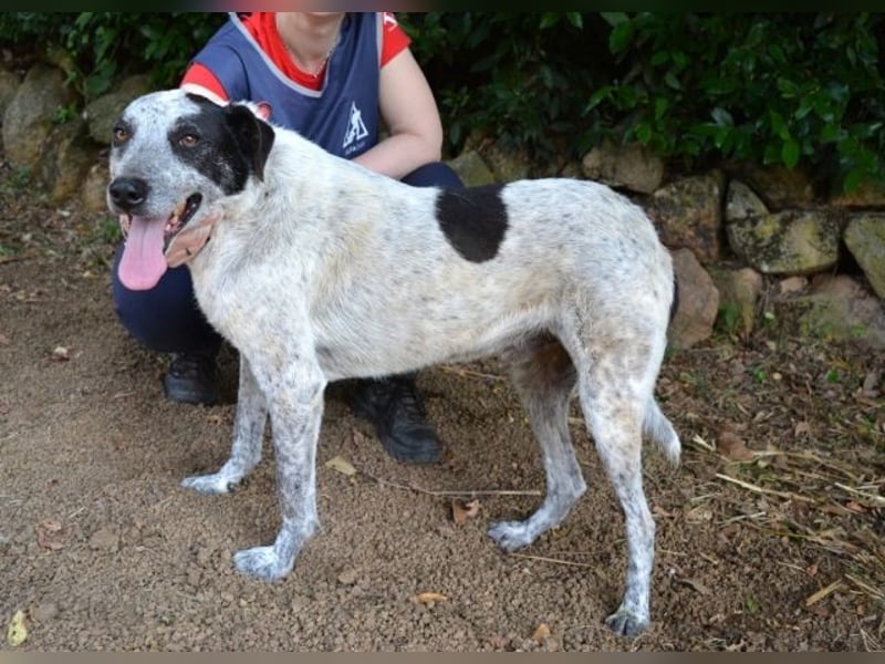 Medwin - Wo ist denn nun das wahre Leben?