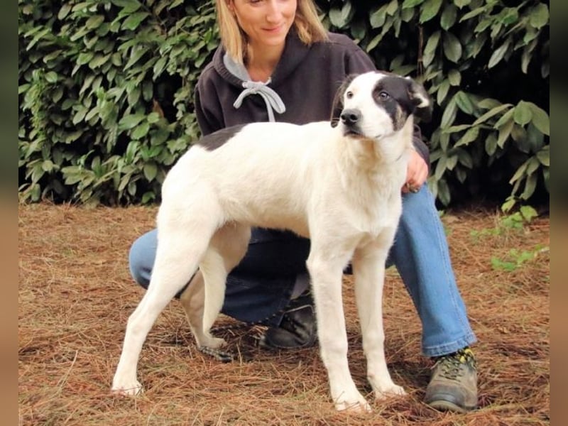 Marius - We proudly present...