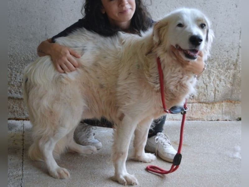 Bailoch - Zeig mir doch bitte...