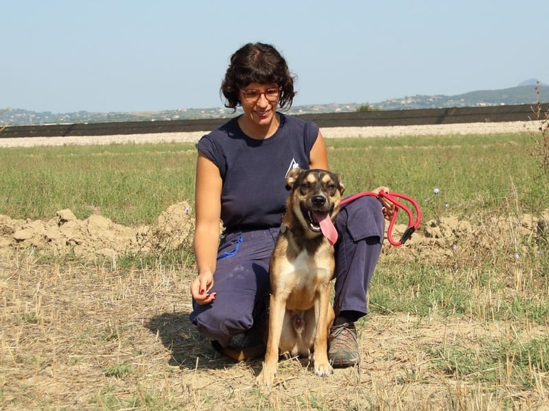 Aki - Verloren, gerettet, verlassen...