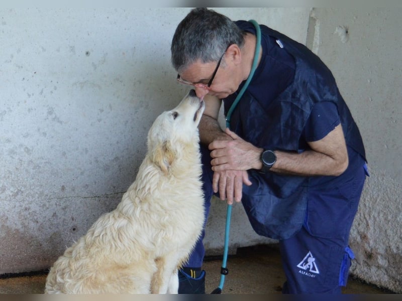 Sadye - Liebevolle Zuwendung....