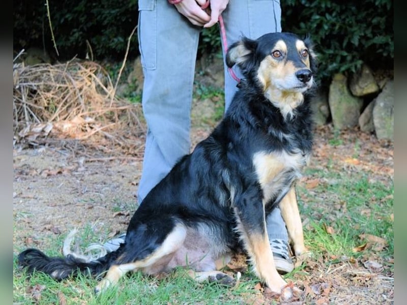 Daxter - wann darf sein Leben beginnen? Daxter - wann darf sein Leben beginnen?