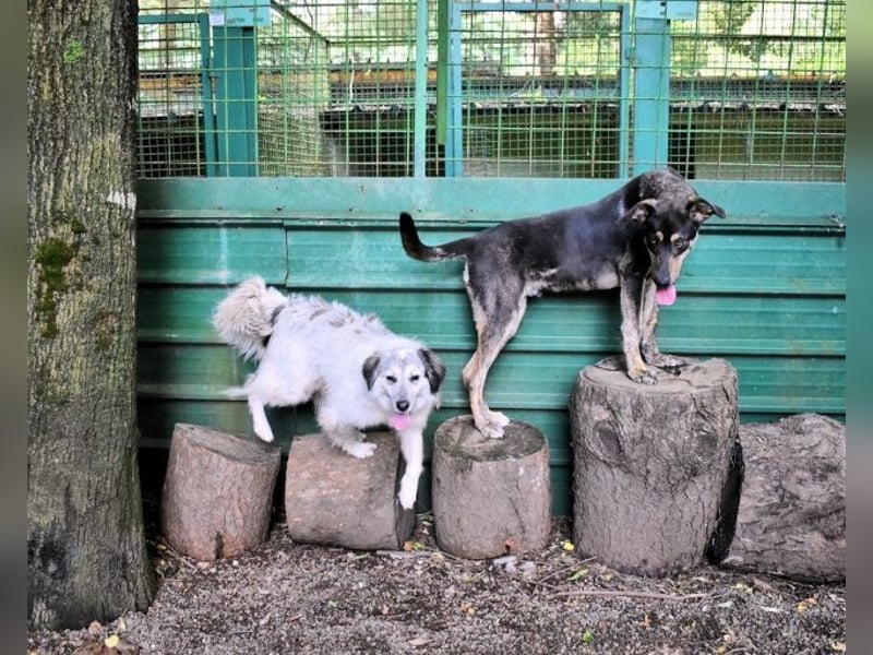 Montego - Sonne im Bauch und Brausekribbeln im Hirn