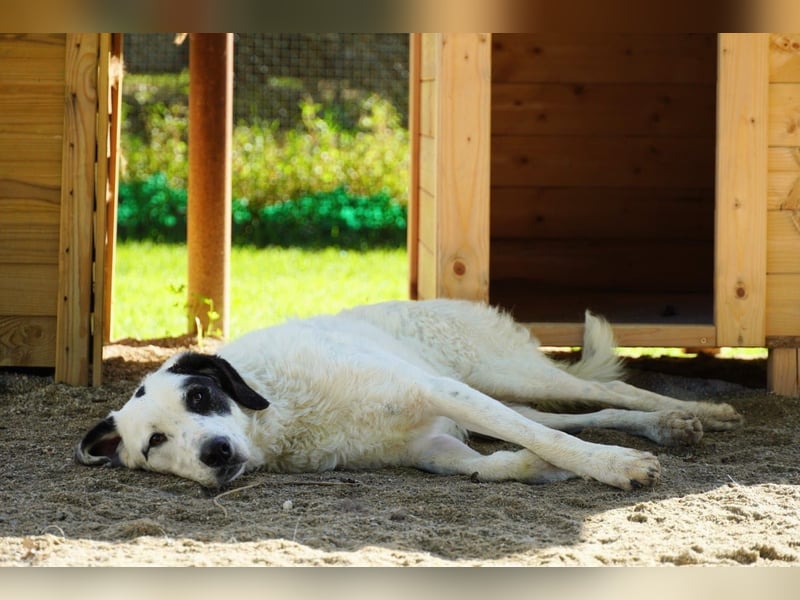 Marni - Dieses Herz hat schon zu lange gewartet