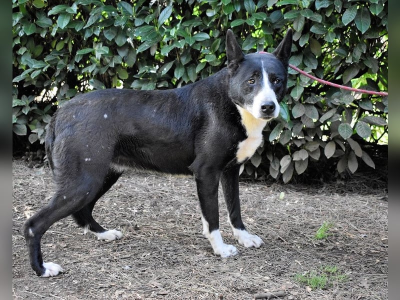 Edelmira - Das Leben in homöopathischen Dosen kennenlernen