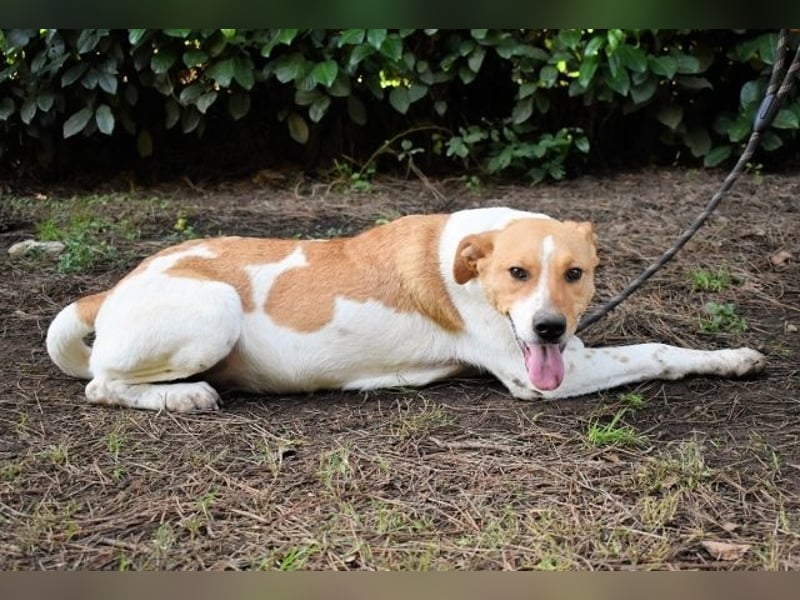 Zela - Z wie Zuckersüß und Zauberhaft