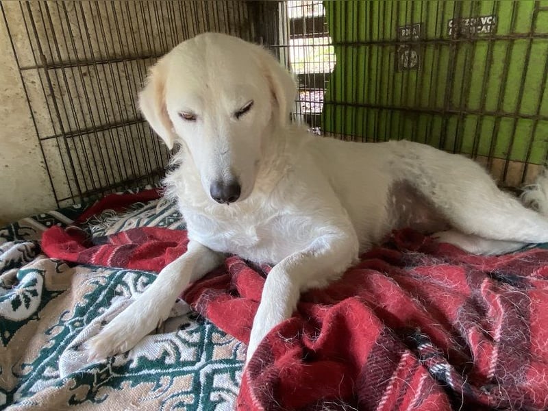 Numa - Gesucht: warmes Plätzchen, um aufzutauen