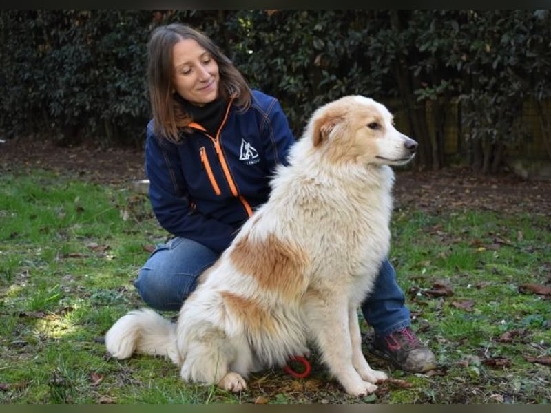 Jury - Powerpaket mit ganz viel Herz im Gepäck