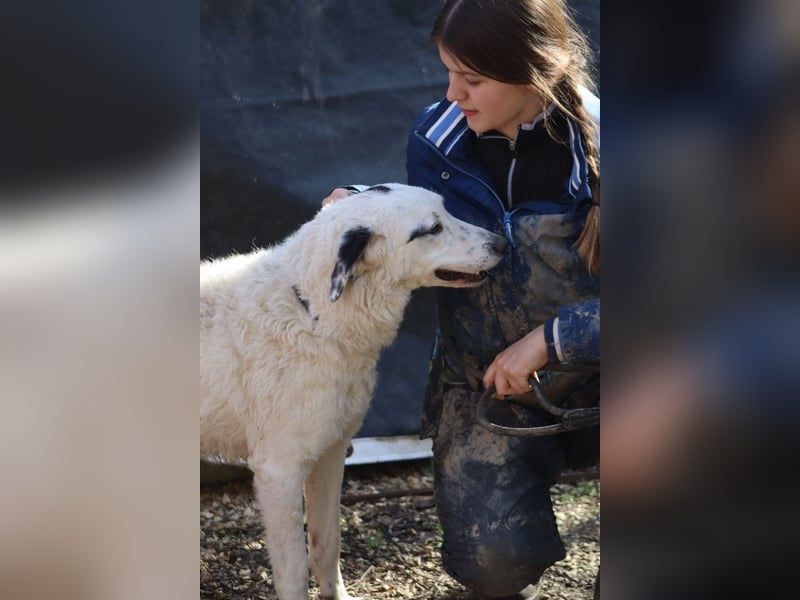 Marni - Dieses Herz hat schon zu lange gewartet