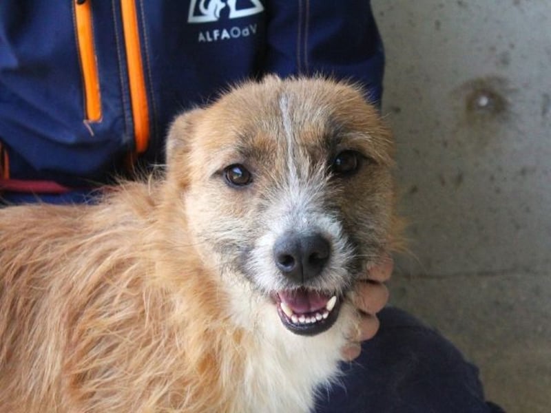 Renilde - eifrige Interviewpartnerin hat Pluspunkte gesammelt