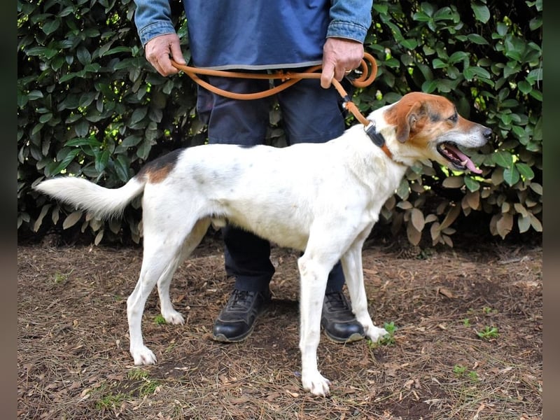 Kamyll - Der Platz neben dir