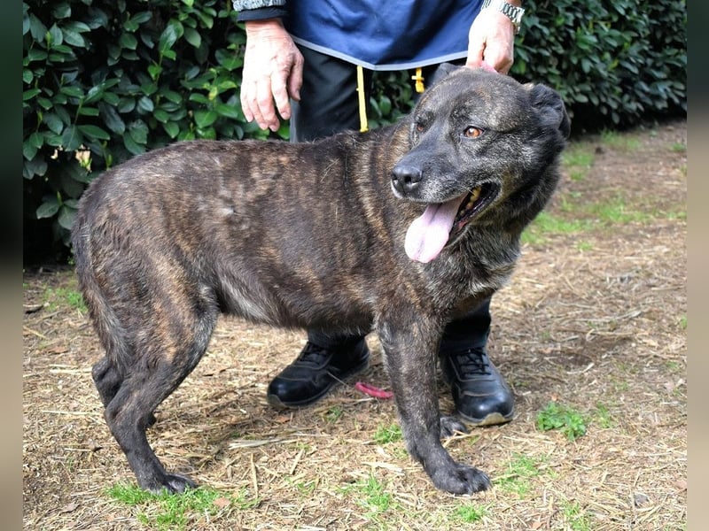 Fareeda - Wo die Schmetterlinge wohnen