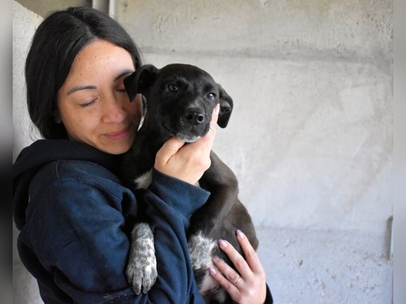 Marisca - Es soll DEIN Leben werden