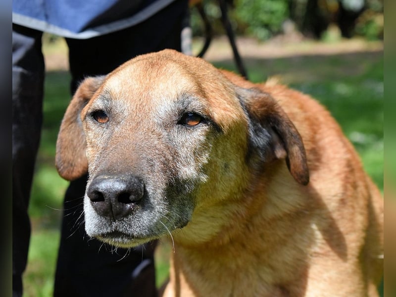 Nidal - Notfall - Was jetzt zählt