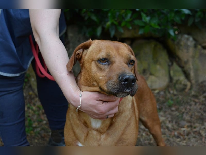 Freebie - Über Stock und Stein