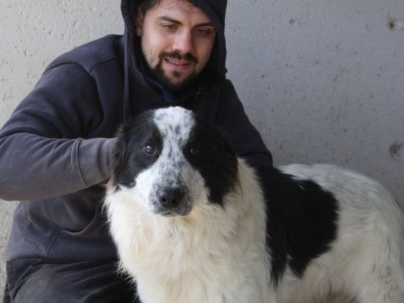 Bramion - Die Sache mit dem Mut, der Statistik und Bramion