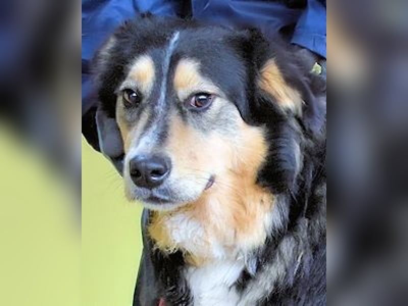 Oliverio - ohne Anklage hinter Gittern