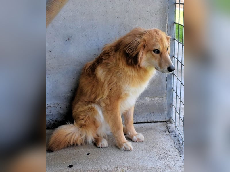 Jonathen - Die Flucht in mir