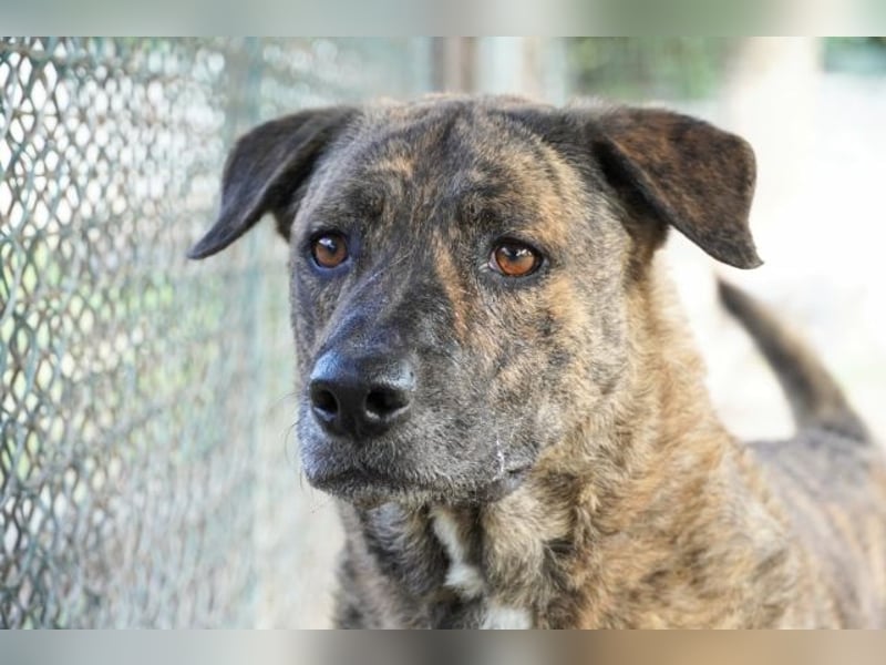 Ludwig - Nur Mädchen erlaubt