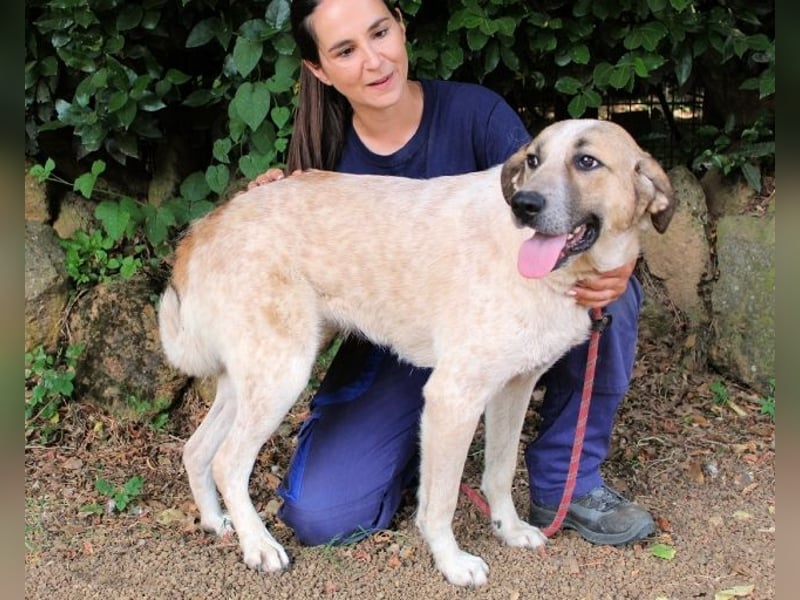 Solidea - 744 Stunden