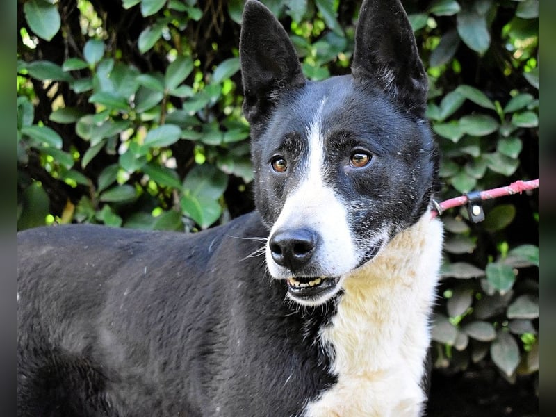 Edelmira - Das Leben in homöopathischen Dosen kennenlernen