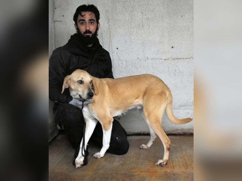 Wiper - Möchte die Welt im Sturm erobern