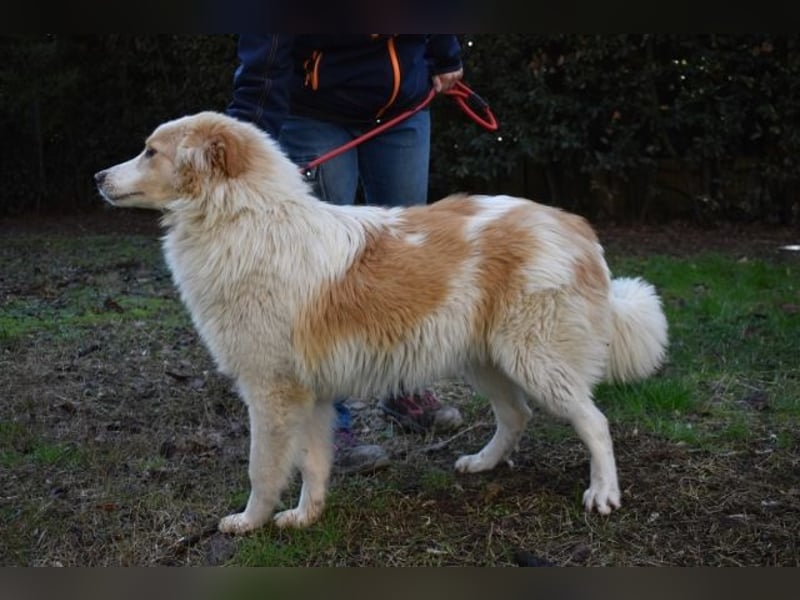 Jury - Powerpaket mit ganz viel Herz im Gepäck