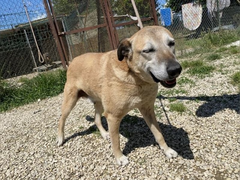 Plugh - Opa Plugh möchte die Welt - und Sie! kennenlernen