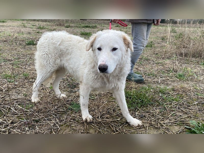 Tonia - Still, stark und voller Herz