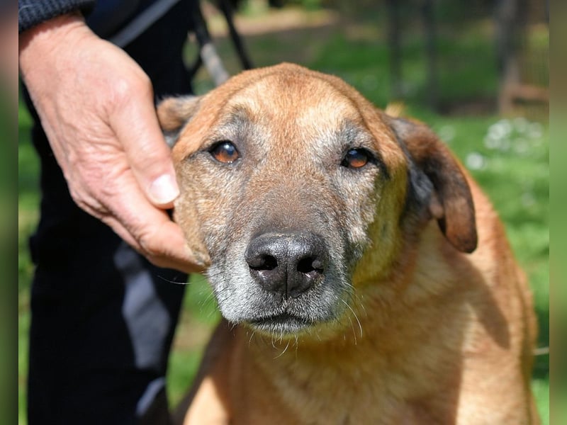 Nidal - Notfall - Was jetzt zählt