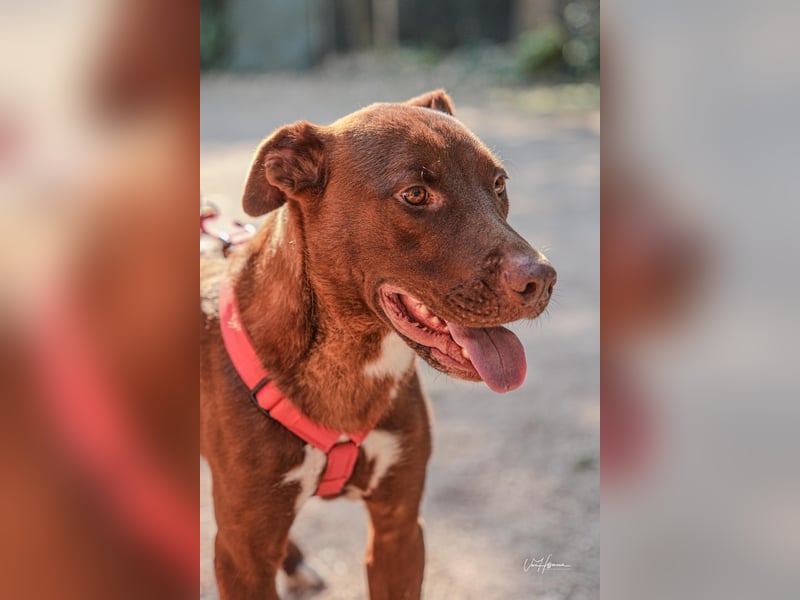 Birdy - Ich glaube, es wird Frühling