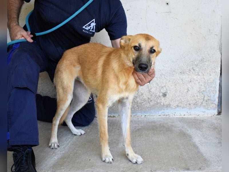 Osita - "Und wenn sie nicht weg sind.....