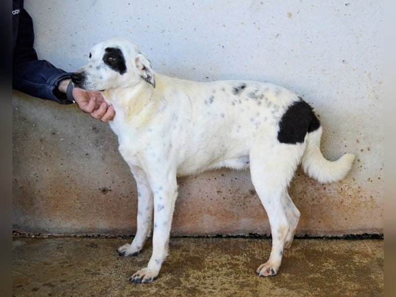 Arunny - aller guten Dinge sind drei