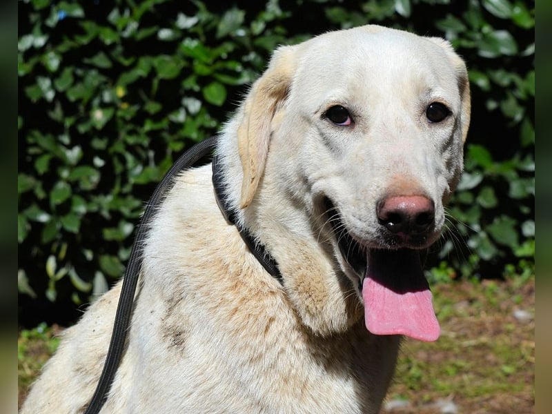Shaydon - Ein riesiges Missverständnis!