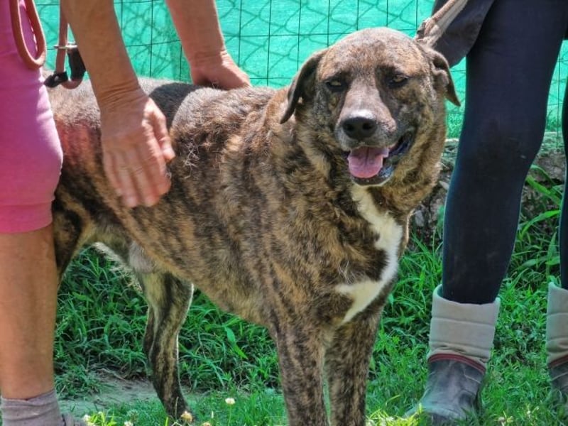 Ludwig - Nur Mädchen erlaubt