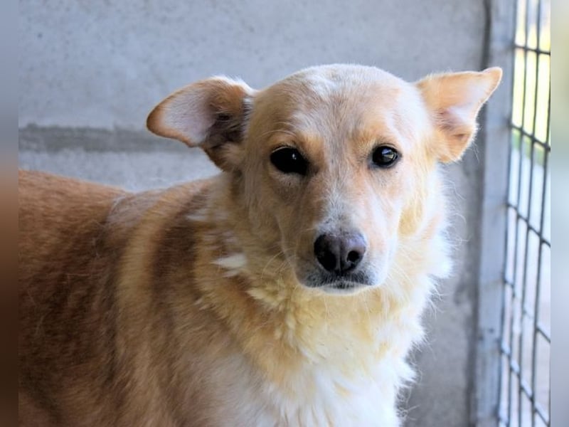 Ariana - lange sitzen sie schon da und haben es schwer