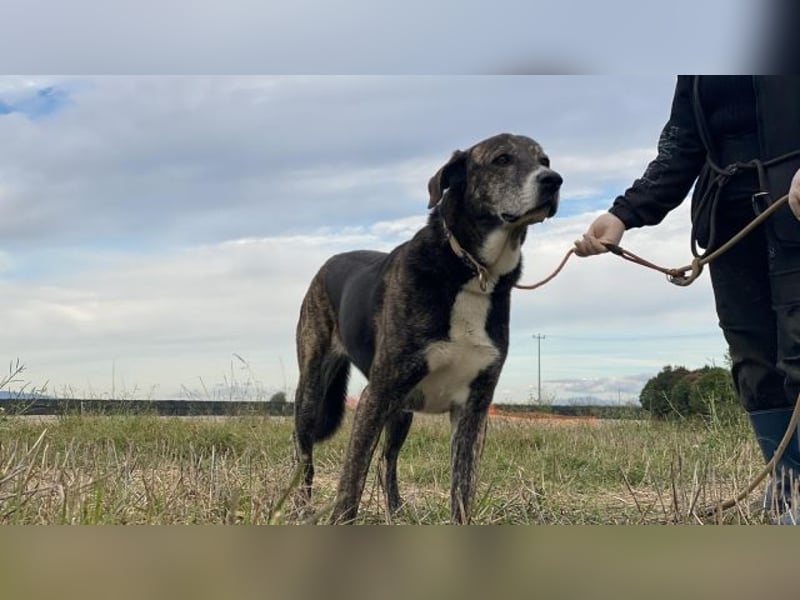 Lola - Das Herz hat seine Gründe