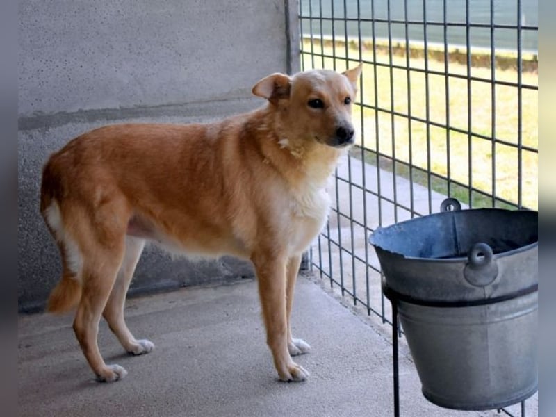 Ariana - lange sitzen sie schon da und haben es schwer