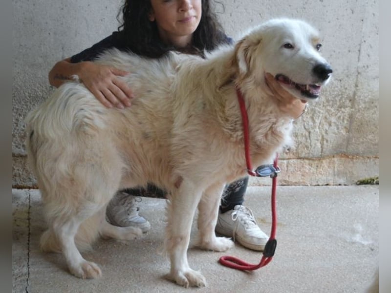 Bailoch - Zeig mir doch bitte...