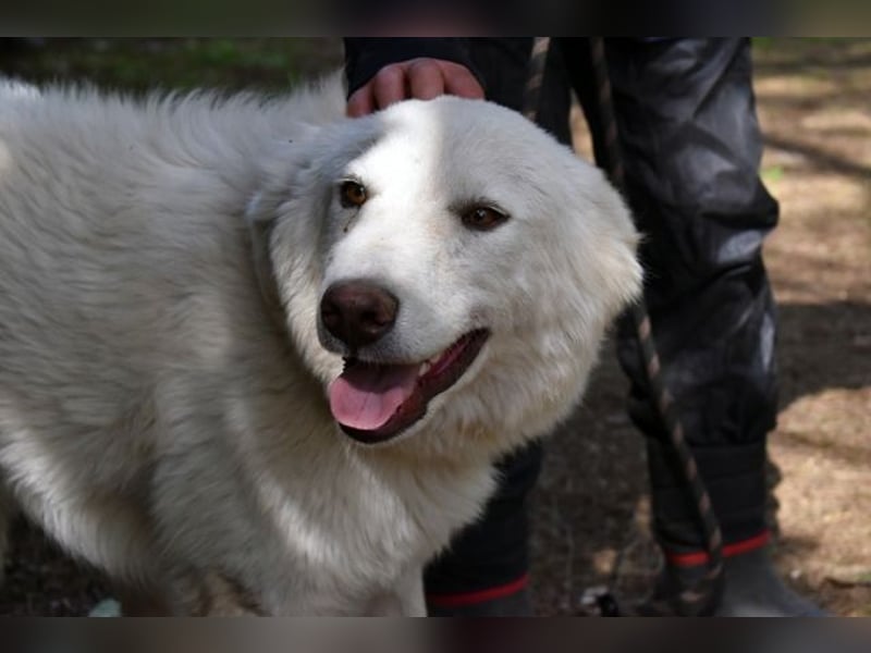 Florenz - bereit für das Abenteuer Leben