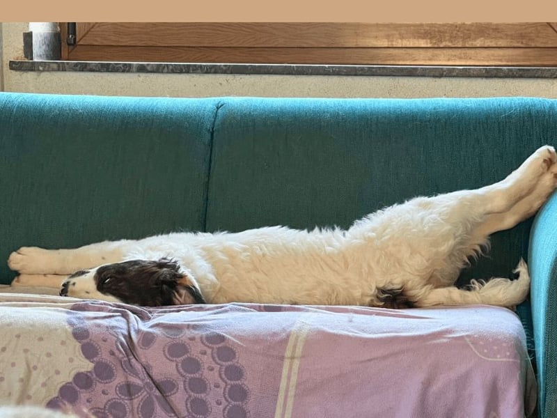 Ingo -  Neunmal werden wir noch wach...